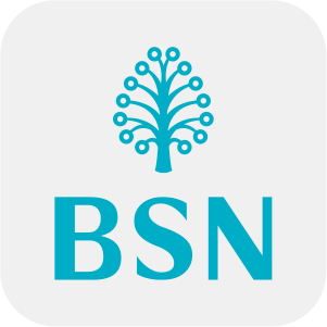 BSN - VWorld2 Payment Method